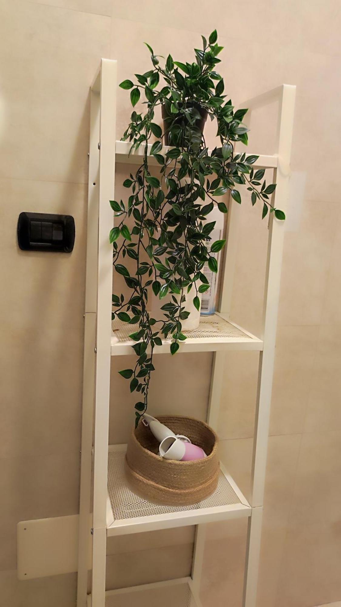 Appartement Arco Pace